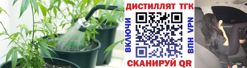 Дистиллят ТГК жижа  Купить  Горбатов 