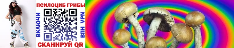 Купить закладки  Горбатов  Галлюциногенные грибы Psilocybe 